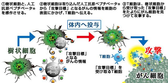 樹状細胞の攻撃イメージ